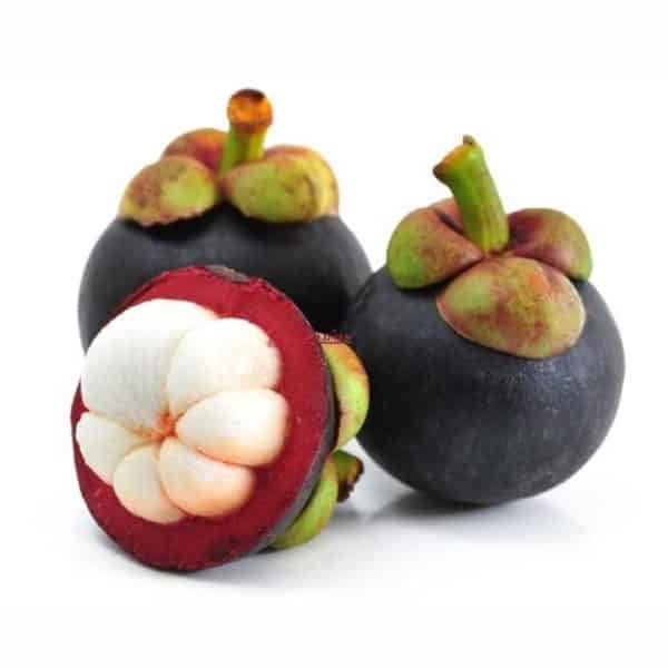 Mangostan